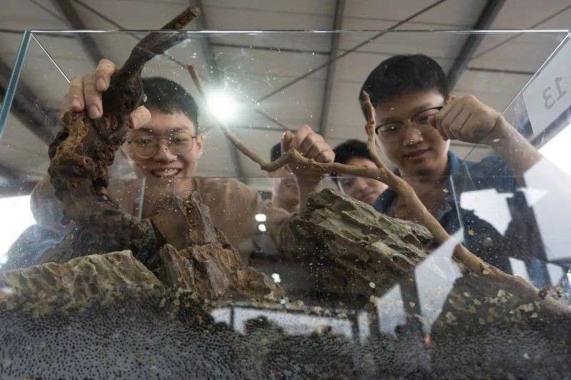 造景賽事有哪些特色環節？