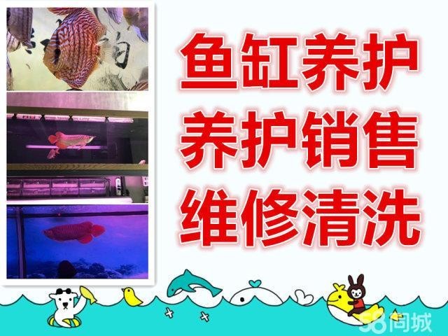 給我推薦一些知名的紅龍魚繁殖場