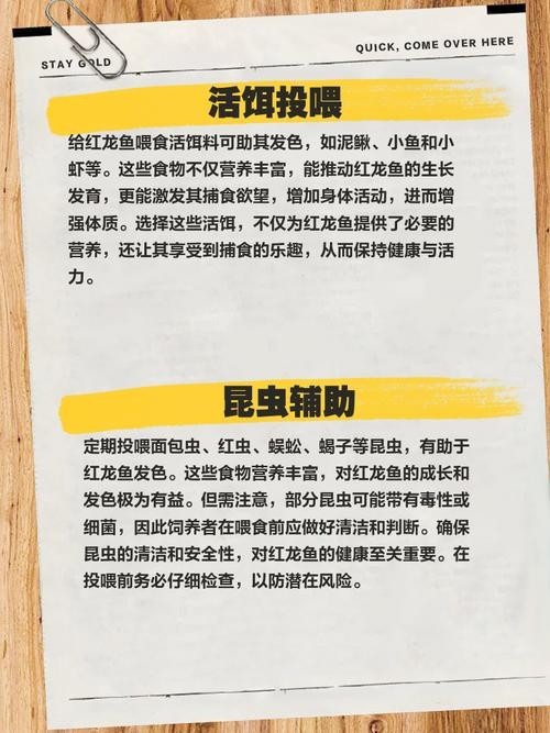 還有沒有其他賽級紅龍的培養(yǎng)步驟？