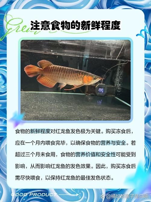 還有沒有其他賽級紅龍的培養(yǎng)步驟？