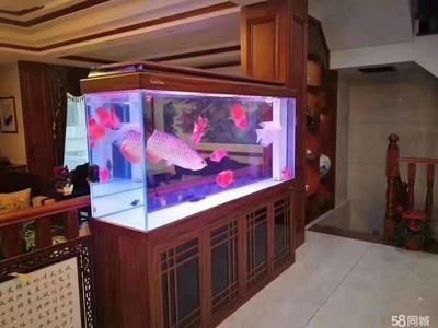 【58同城】魚缸維修（58同城】魚缸維修服務詳解）