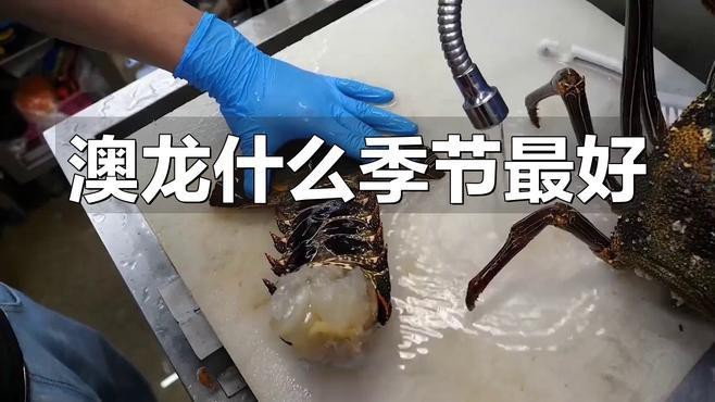 如何申報長城杯工程？