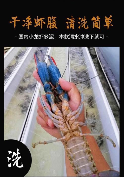 如何申報長城杯工程？