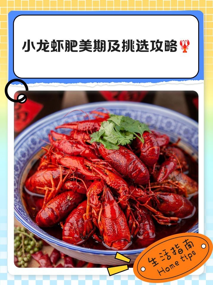 如何申報長城杯工程？