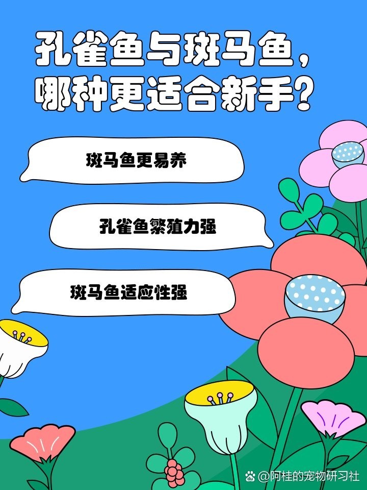 孔雀魚和斑馬魚哪個更好養？