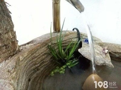 魚缸放石頭的注意事項有哪些？：風水學中的魚缸布局