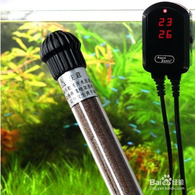魚缸加熱棒怎么用？魚缸加熱棒使用注意事項：魚缸加熱棒正確使用方法和注意事項是確保魚類健康生長的關(guān)鍵