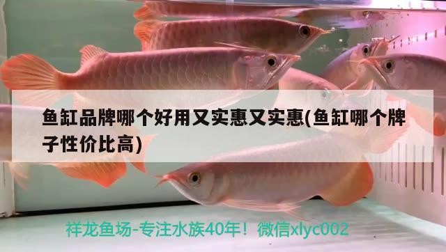 盛平恒生商貿（北京）有限公司沈陽分公司