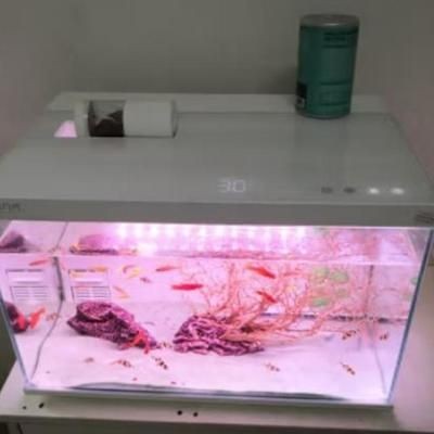 米家畫法幾何魚缸教程：米家畫法幾何魚缸教程詳情 米家畫法幾何魚缸教程：米家畫法幾何魚缸教程詳情 魚缸百科 第5張