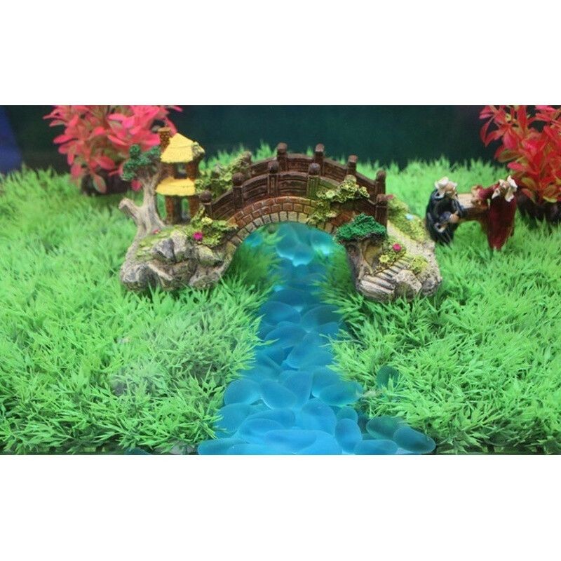 森森魚缸魚缸底是藍色玻璃嗎：森森魚缸材質與價格關系,如何辨別魚缸玻璃質量