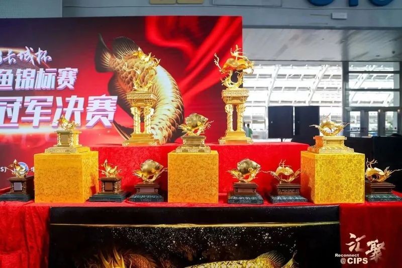 長城杯觀賞魚比賽在哪里舉辦？