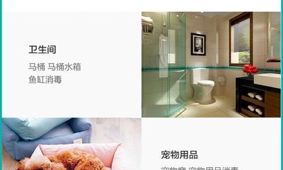 魚缸寵物大全：家庭水族箱養殖技巧