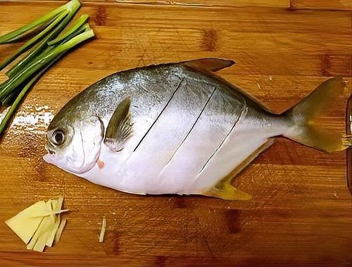 廈門魚缸的價格：廈門魚缸價格