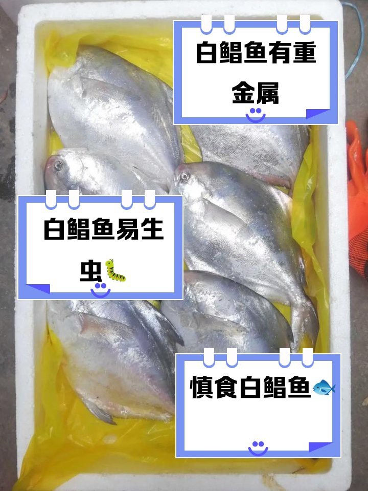 廈門魚缸的價格：廈門魚缸價格