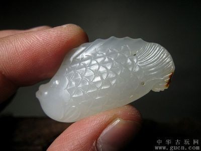 金龍魚風水的意義與作用：白玉金龍魚風水學解釋白玉金龍魚的風水作用與作用