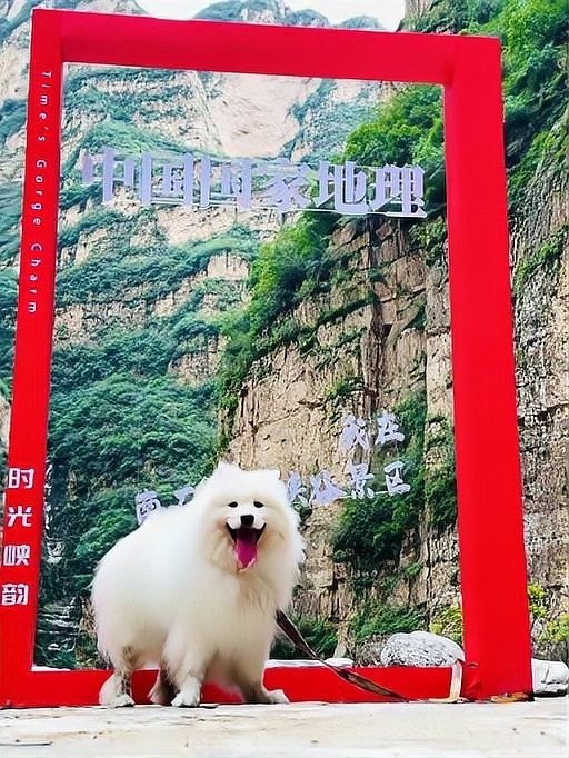 哪些長(zhǎng)城段允許寵物進(jìn)入？
