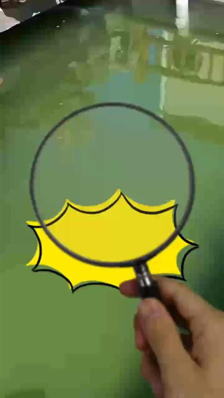 魚池水質救星來了