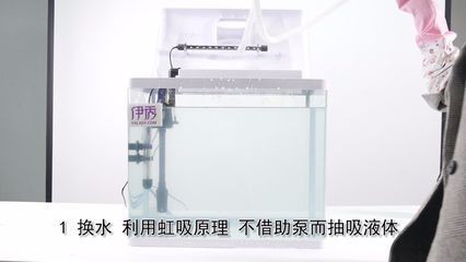 魚缸的泵怎么拆洗：魚缸水泵的拆卸和清洗方法