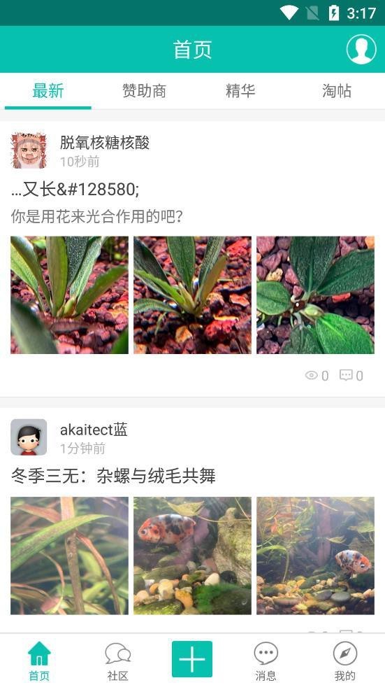 南美水族論壇app怎么打不開