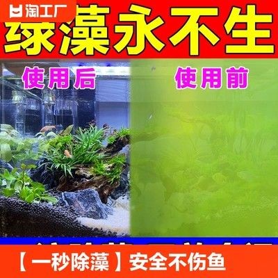 魚缸除藻劑的使用方法：如何自制魚缸除藻劑，魚缸除藻劑對魚的影響