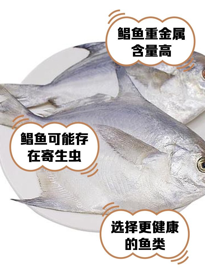 淡水鯧魚盡量少吃的原因 淡水鯧魚盡量少吃的原因 龍魚論壇 第2張
