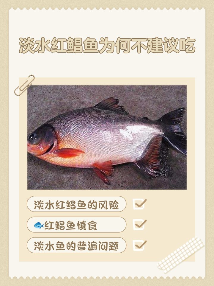 淡水鯧魚盡量少吃的原因 淡水鯧魚盡量少吃的原因 龍魚論壇 第7張