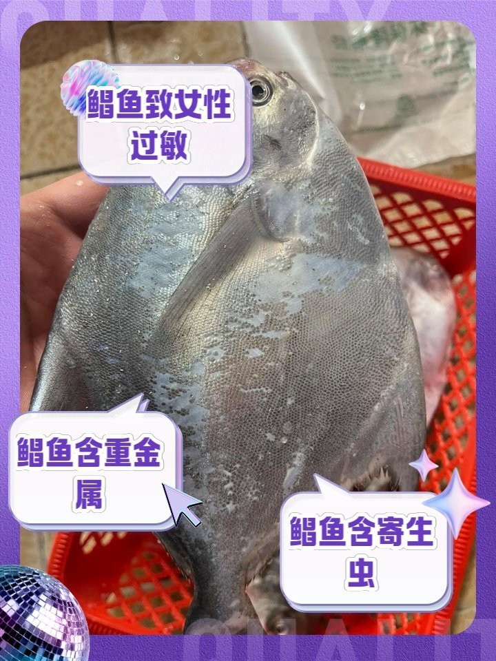 淡水鯧魚盡量少吃的原因 淡水鯧魚盡量少吃的原因 龍魚論壇 第4張