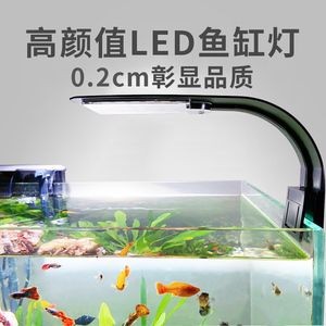 紅色魚缸燈怎么選魚缸燈怎么選魚缸燈：紅色的魚缸燈是什么