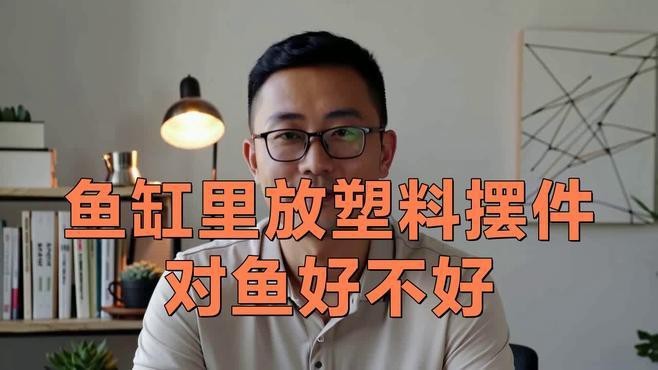 龍魚魚缸最忌三個東西