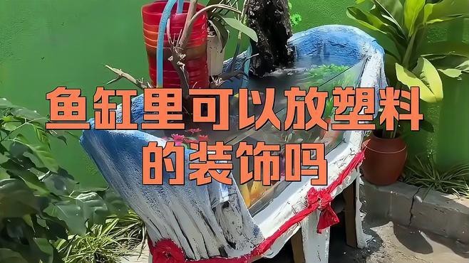 龍魚魚缸最忌三個東西
