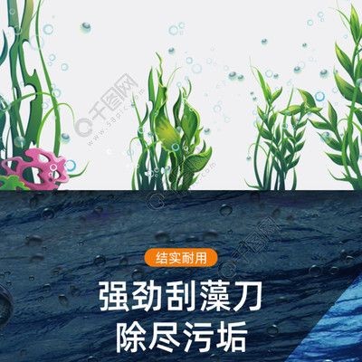 哪種魚缸刷好用：如何選擇一款合適的魚缸刷