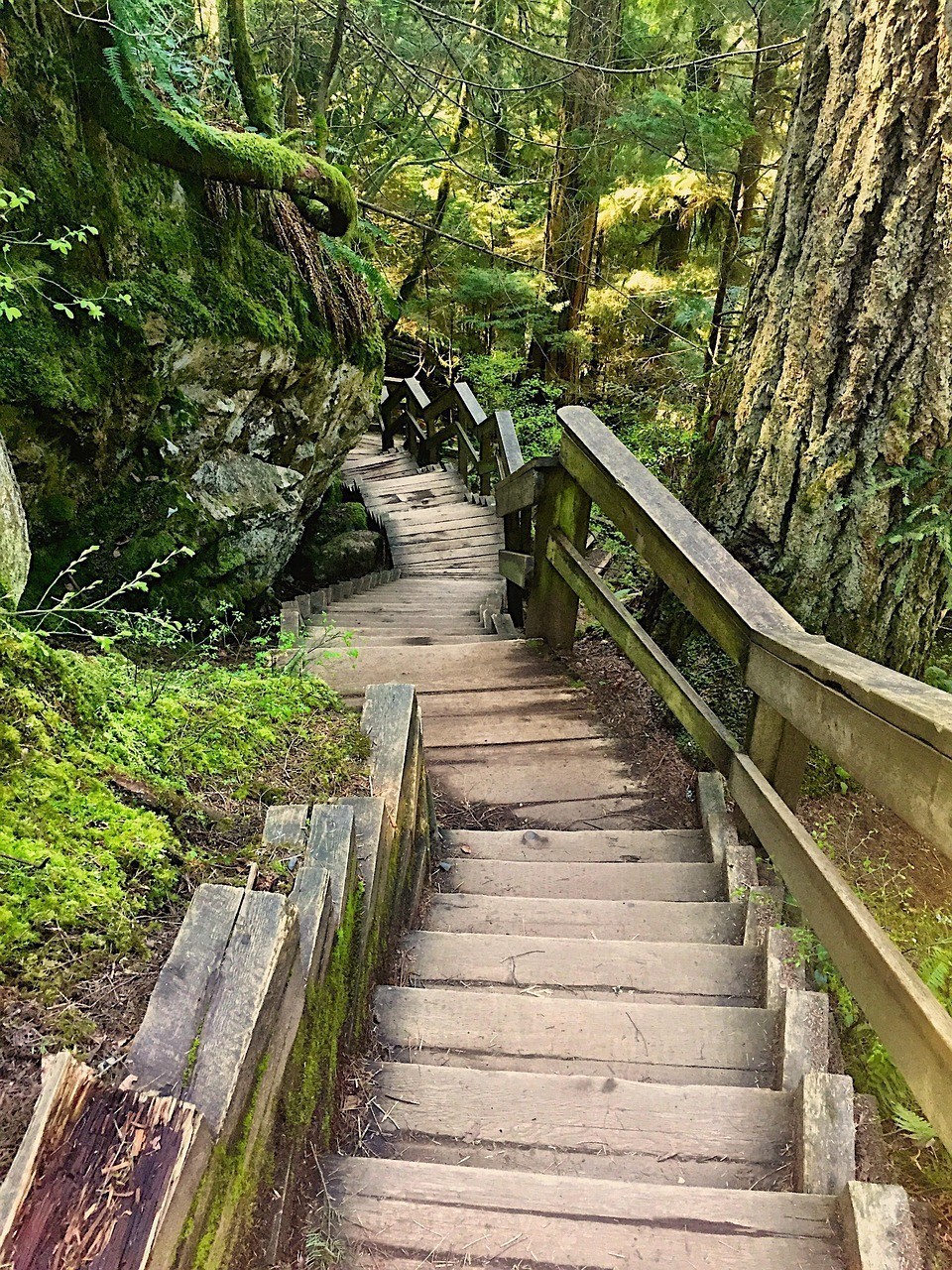 千島湖一日游最佳去處