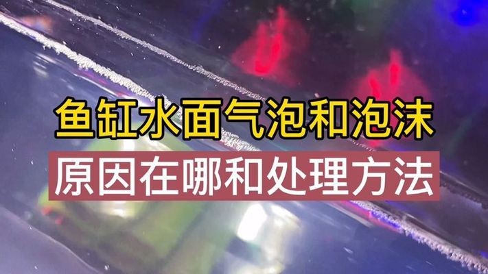 魚缸水突然渾濁怎樣快速解決（魚缸水渾濁怎么辦）