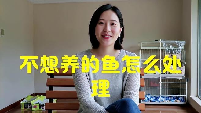 龍魚不養(yǎng)了應該怎么處理？