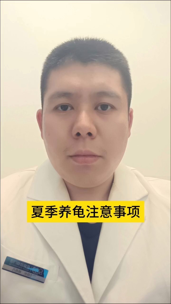 母子龍龜如何清潔和保養(yǎng)？ 母子龍龜如何清潔和保養(yǎng)？ 龍魚百科 第5張