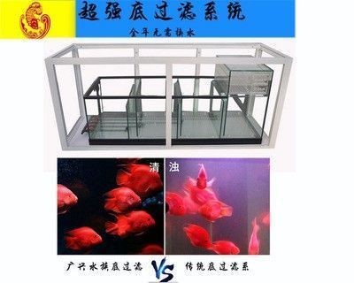 紅龍魚用黃燈烤有用嗎 東勝區曉林水族館(東勝區曉林水族館電話) 全國水族館企業名錄 東勝區曉林水族館(東勝區曉林水族館電話) 東勝區曉林水族館(東勝區曉林水族館電話) 全國水族館企業名錄