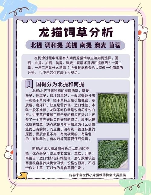 龍貓懷孕后需要補(bǔ)充哪些營(yíng)養(yǎng)？