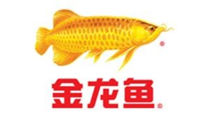 龍魚發色秘訣視頻大全：龍魚發色的秘訣