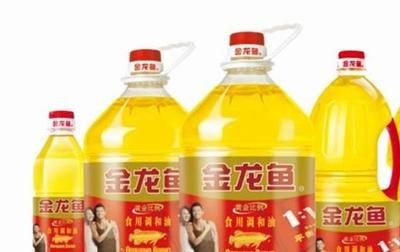 龍魚發色秘訣視頻大全：龍魚發色的秘訣