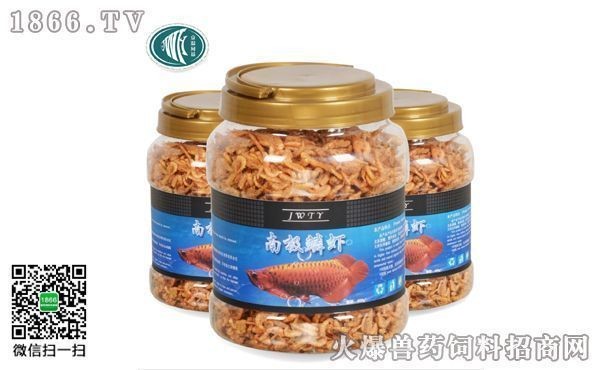 龍魚吃飼料好還是吃活食好：龍魚吃飼料好還是活食好
