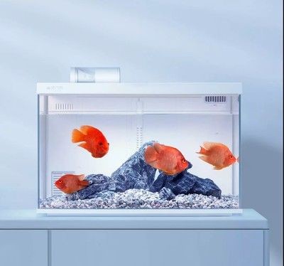 魚缸水泵不工作了怎么回事：魚缸水泵不工作可能由多種原因引起，