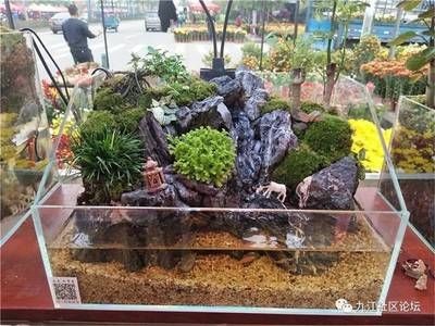 花卉市場魚缸設計揭秘花卉市場魚缸設計揭秘魚缸價格信息：花卉市場的魚缸設計