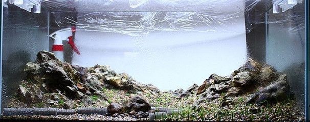 放水草泥到底濾魚缸是涉及到魚缸維護和水草生長的過程：底濾魚缸的日常維護和保養