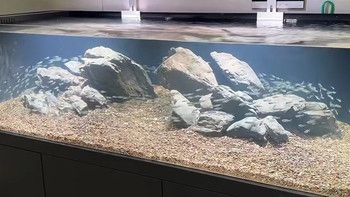 放水草泥到底濾魚缸是涉及到魚缸維護和水草生長的過程：底濾魚缸的日常維護和保養