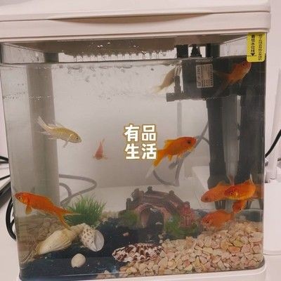 意牌魚缸售后電話號碼：寵物水族論壇意牌魚缸用戶評價114查詢意牌魚缸客服