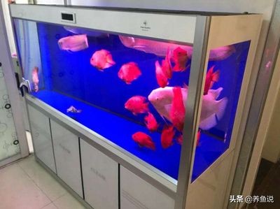 魚缸底濾魚缸與空氣缸原理底濾魚缸空氣缸制作方法：底濾魚缸與空氣缸空氣缸制作方法