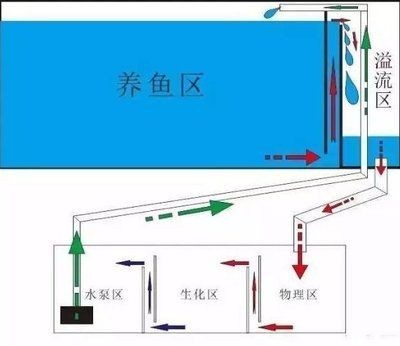魚缸溢流區下水聲音大怎么辦？：底濾魚缸溢流區下水聲音大可能是由于水流沖擊溢流管共振產生的