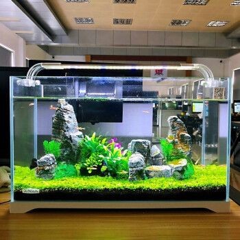 森森生態魚缸用的什么玻璃：森森生態魚缸超白玻璃與其他玻璃對比，如何辨別超白玻璃真偽