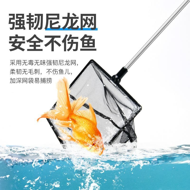 小魚牌魚缸：小魚牌魚缸品牌排行榜