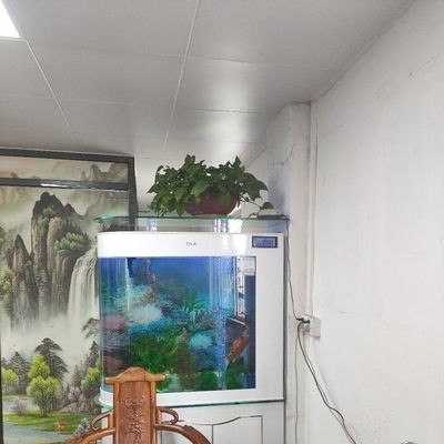 德國德克魚缸怎么樣 和彩蝶比呢